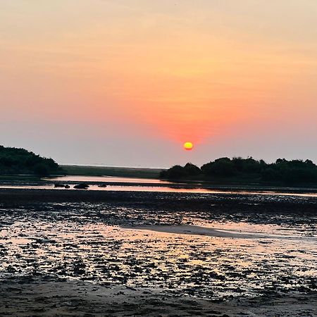 Kingfisher Beach Resort-Yala キリンダ エクステリア 写真