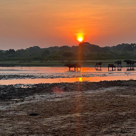 Kingfisher Beach Resort-Yala キリンダ エクステリア 写真
