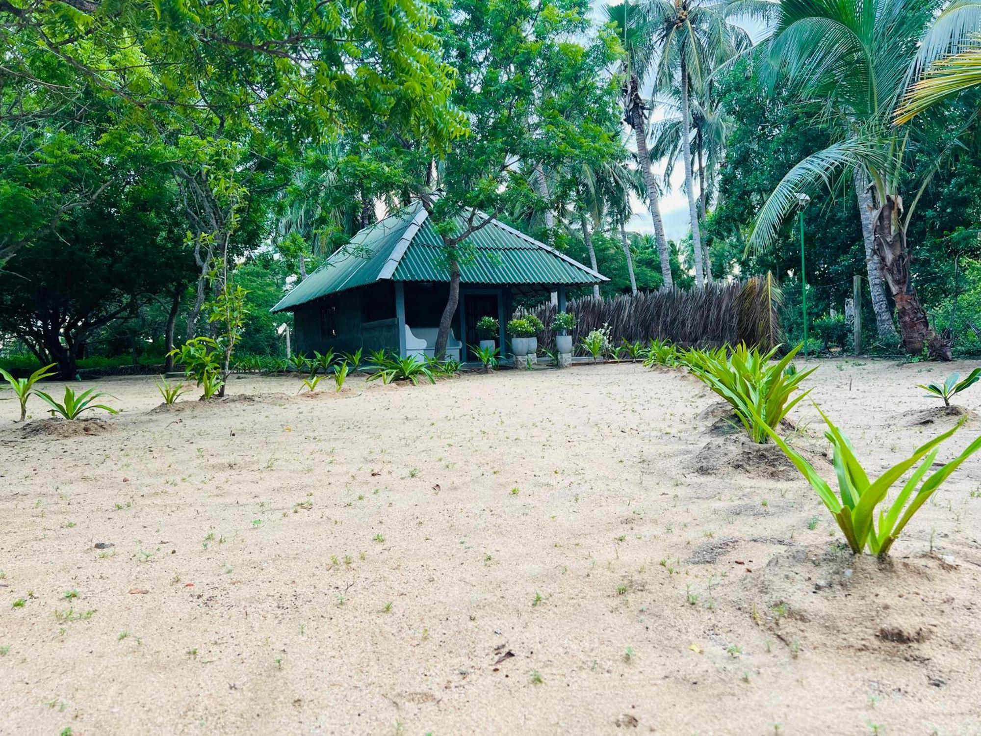 Kingfisher Beach Resort-Yala キリンダ エクステリア 写真