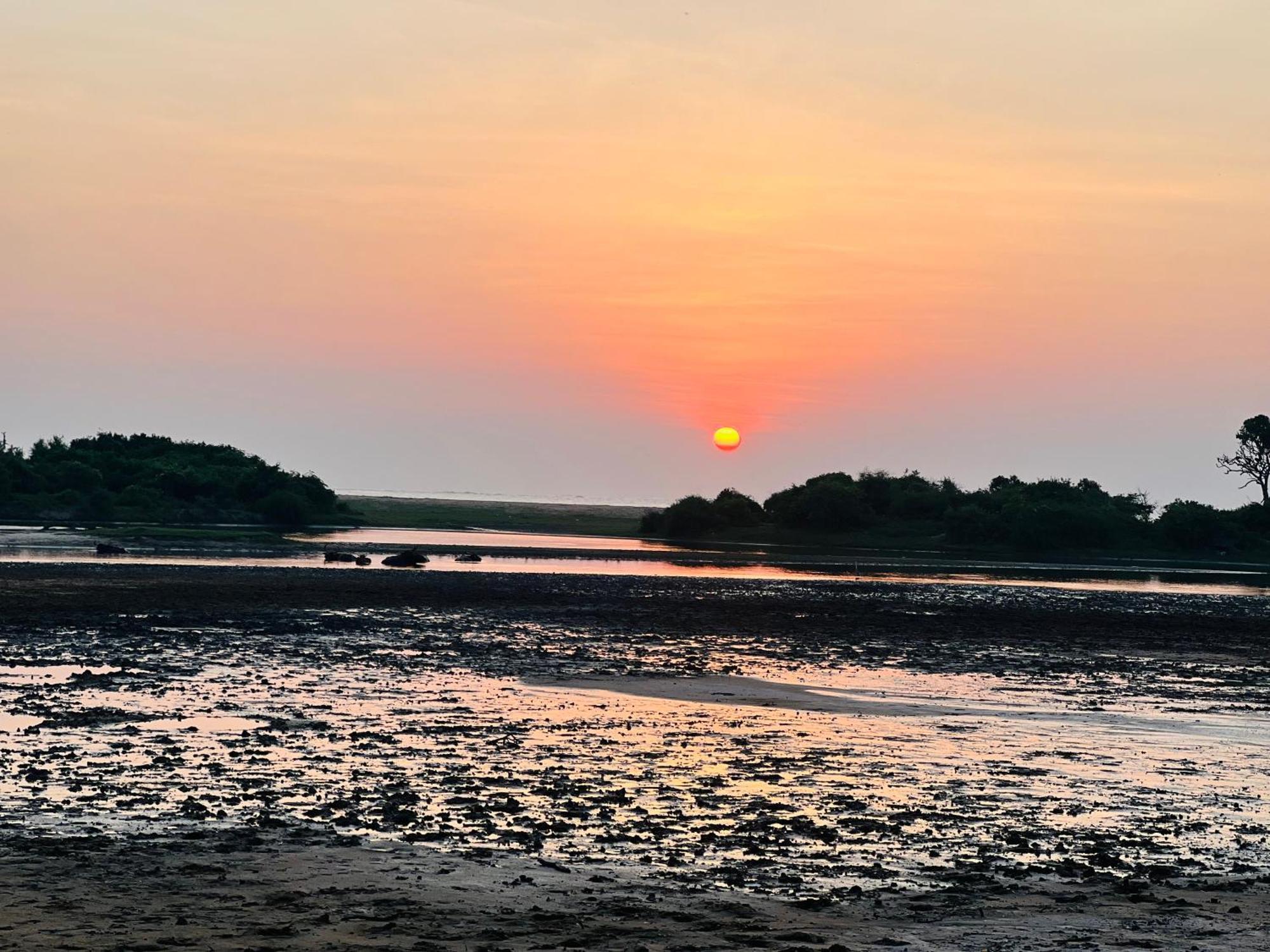 Kingfisher Beach Resort-Yala キリンダ エクステリア 写真